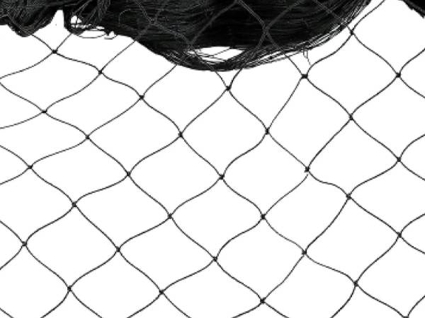 Anti bird net on a white background