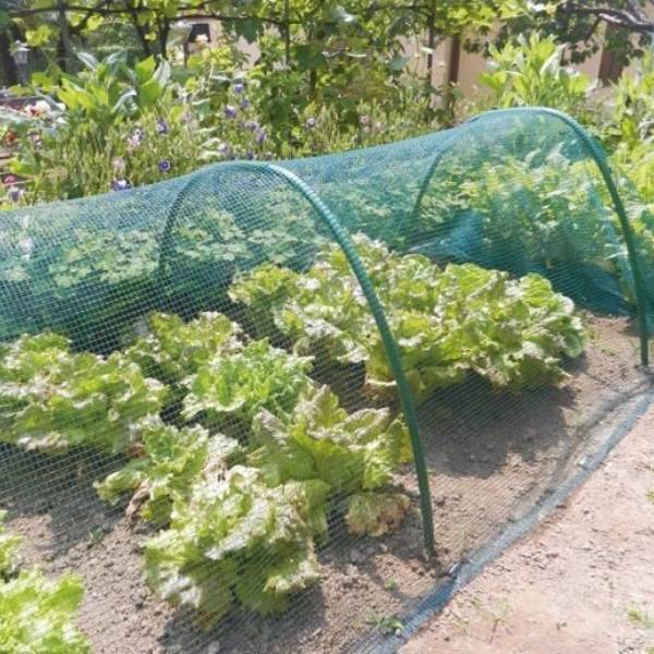 The vegetable farm is covered with green anti hail net.