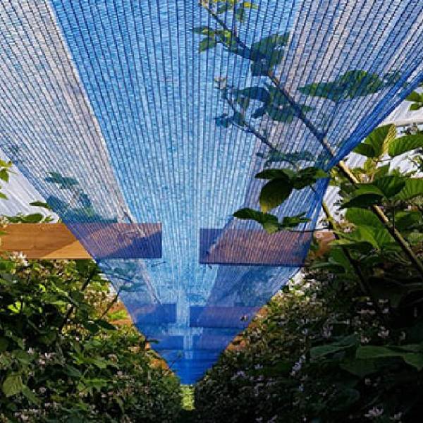 Sun shade net is covered above all flowers.