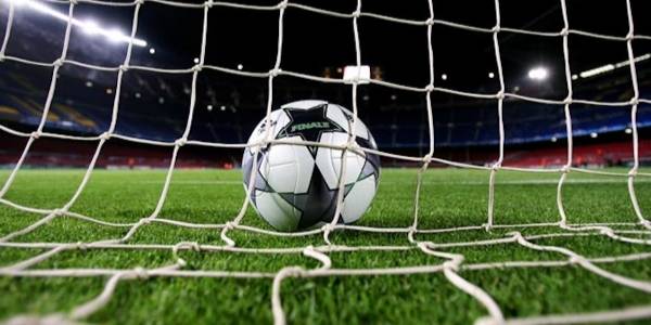 Football and football net on the lawn