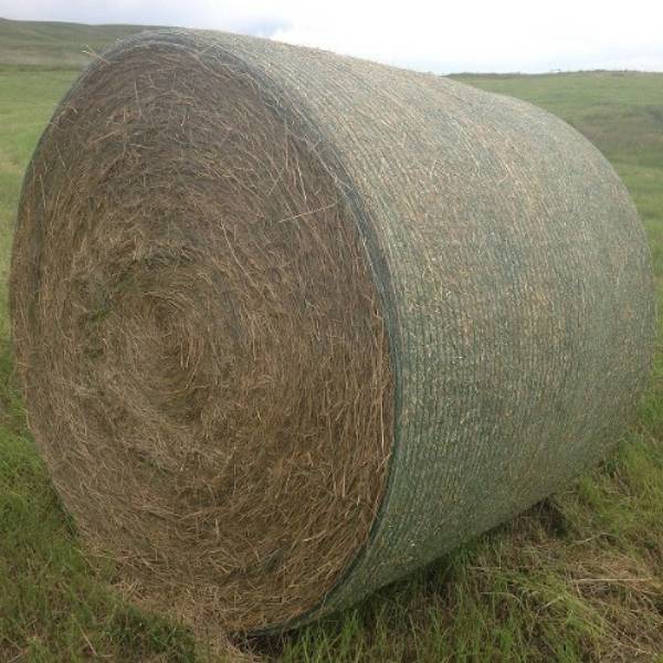Baled haystacks on the grassland