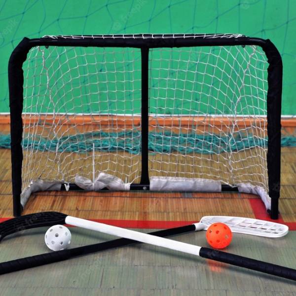 Hockey goal nets, 2 hockey sticks and 2 hockey balls