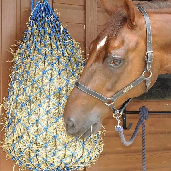 A horse is eating the hay from the horse hay bag.