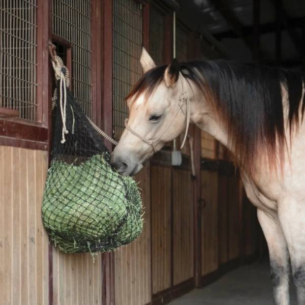 A horse is eating the hay from the horse hay net on the door.