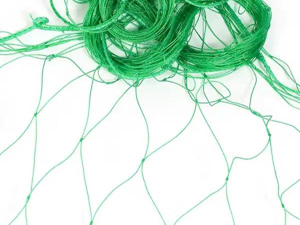Green knotted plant climbing net on a white background