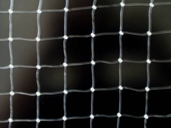 The details of knotty nylon monofilament anti bird net