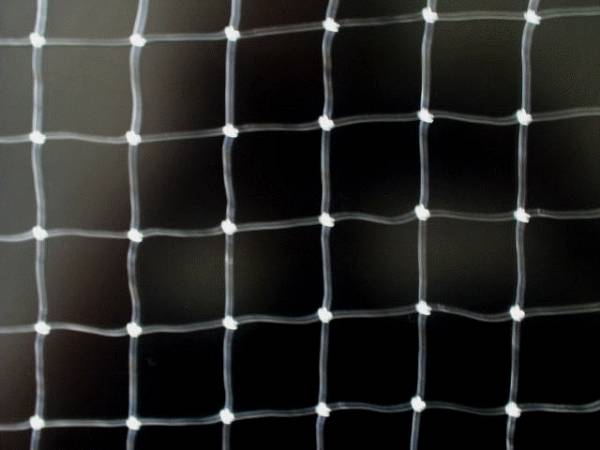The details of knotty nylon monofilament anti bird net