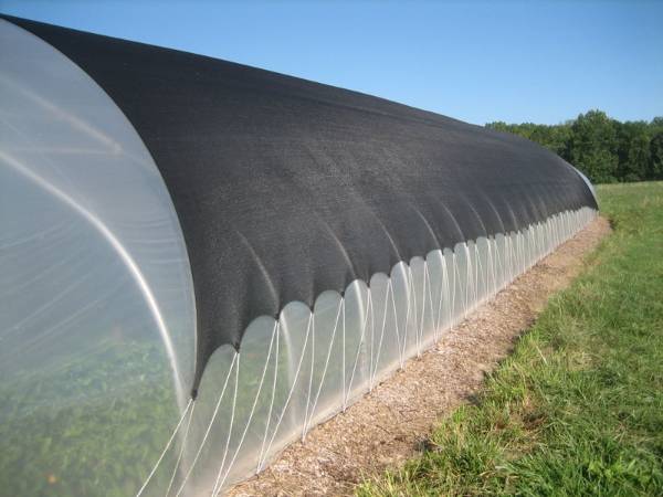 The sun shade net is installed above the greenhouse.