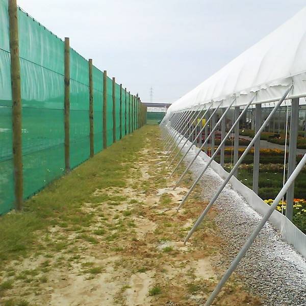 Flowers flourish in the windbreak net.