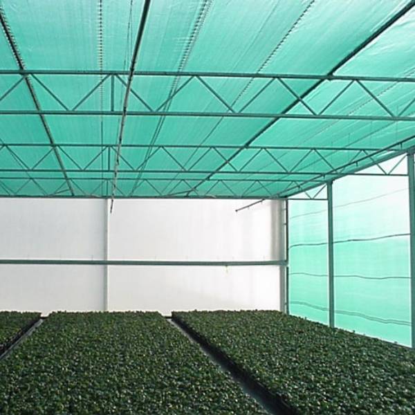 The nursery garden is covered by windbreak net.